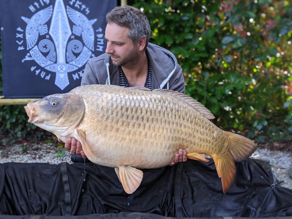 Ghost Carp Unveiling The Mystery Beneath The Waters Majestic Carp